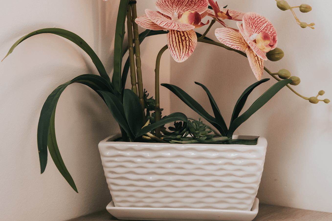 Villa-Palace-0007 Villa-Palace-0007