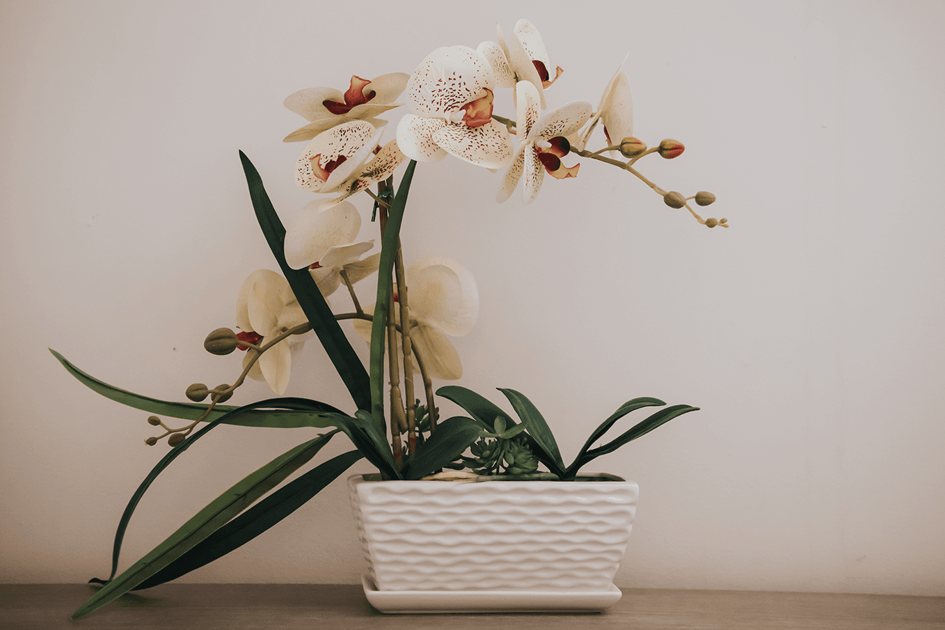 Villa-Palace-0015 Villa-Palace-0015